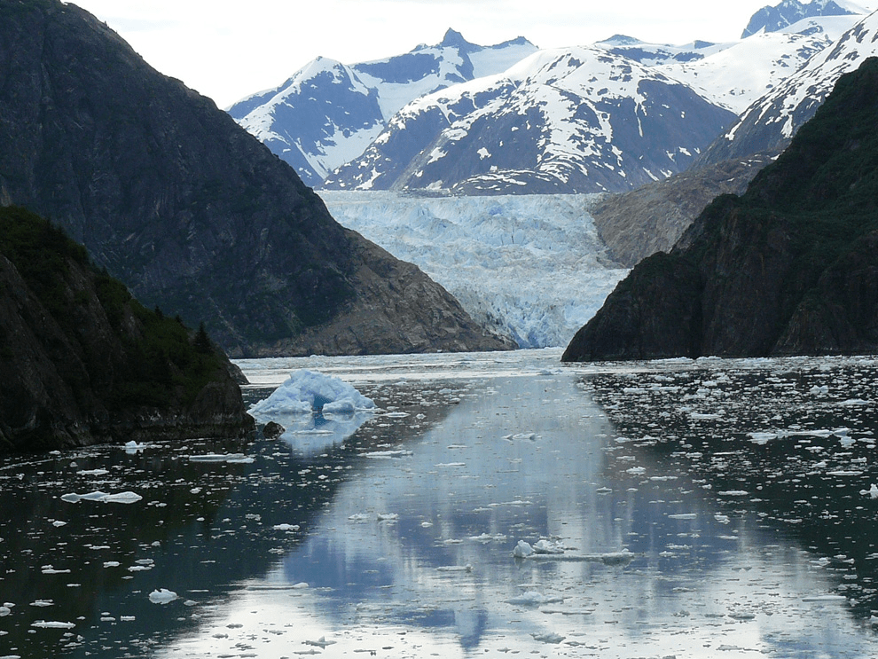 The 9 Day&nbsp;Vibration