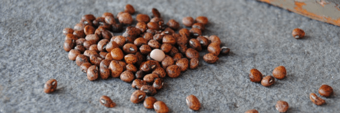 Integrating Tradition and Innovation for Climate&nbsp;Resilience