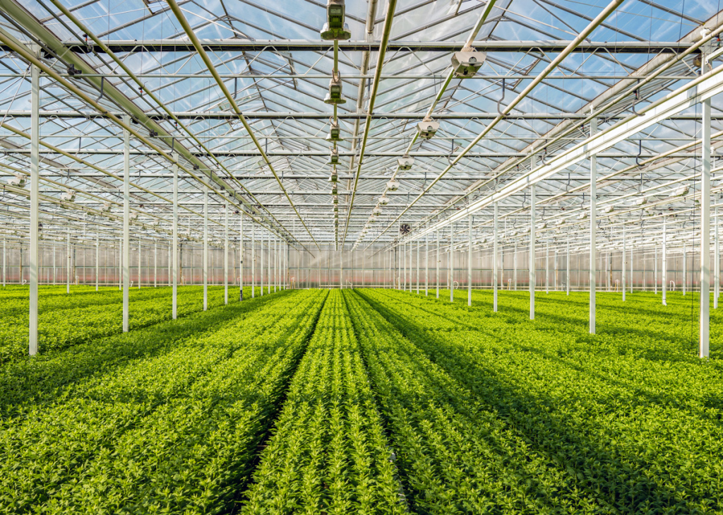 Adapting Agriculture to Climate Change&nbsp;Challenges